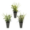 Plant pot 8430852552853 Purple Orange White Yellow Plastic 12 x 30 x 12 cm