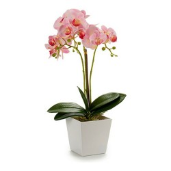 Plant pot 8430852552532 Purple Pink Lilac White Plastic