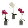 Plant pot 8430852552464 Purple Pink Lilac White Plastic