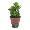 Decorative Plant Brown Green Plastic