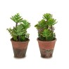 Decorative Plant Brown Green Plastic