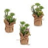 Plante décorative 8430852208163 Violet Rose Blanc Jaune Plastique