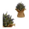 Decorative Plant Plastic (15 x 28 x 15 cm)