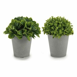 Decorative Plant Grey Green Plastic 13 x 17 x 13 cm