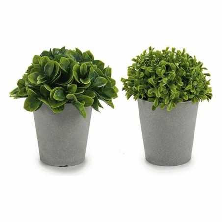 Dekorationspflanze Grau grün Kunststoff 13 x 17 x 13 cm