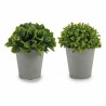 Plante décorative Gris Vert Plastique 13 x 17 x 13 cm
