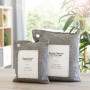 Set of Air Purifying Bags with Activated Carbon Bacoal InnovaGoods (pack of 2)