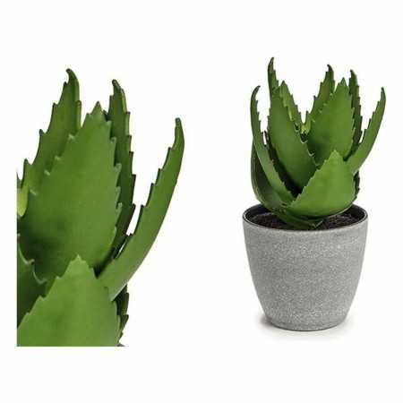 Decorative Plant 8430852770608 Grey Green Plastic