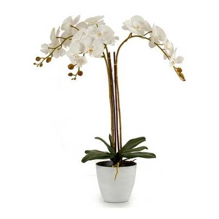 Decorative Plant Plastic