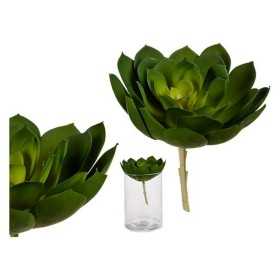 Dekorativ växt Grön Plast