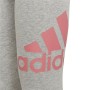 Sportliche Strumpfhosen Adidas Essentials Dunkelgrau
