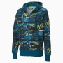 Jungen Sweater mit Kapuze Puma FULL-ZIP 583197