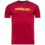 Barn T-shirt med kortärm Nike FC Barcelona Club Röd