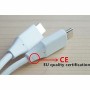 Câble USB C Apple MLL82ZM/A 2 m Blanc