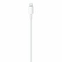 USB-C to Lightning Cable Apple MM0A3ZM/A 1 m White