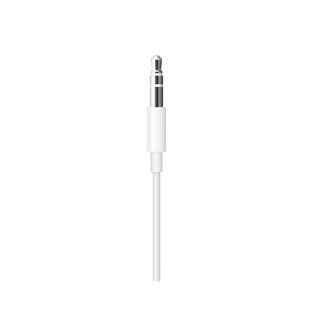 Câble Audio Jack vers Lightning Apple MXK22ZM/A 1,2 m