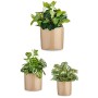 Blumentopfset 3 Stücke Ø 14 cm Ø 22 cm Ø 17 cm Zylinder Beige