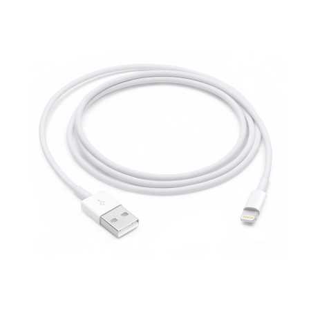 Câble USB vers Lightning Apple MXLY2ZM/A Lightning