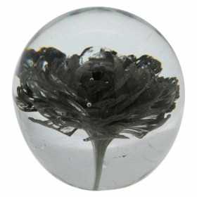 Paperweight Signes Grimalt Black Glass Crystal