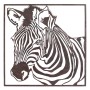 Wall Decoration Signes Grimalt Zebra 1 x 70 x 70 cm