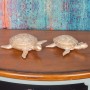Decorative Figure Signes Grimalt Tortoise 18 x 6,5 x 18,5 cm