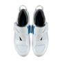 Radfahren Schuhe Shimano Tri TR501 Weiß Blau