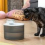 Trinkbrunnen für Katzen mit Akku und Sensor Refopet InnovaGoods