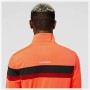 Sportjackefür Herren New Balance Accelerate Orange