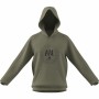 Sweat à capuche homme Adidas Emblem Graphic Gris foncé