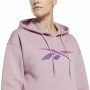 Damen Sweater mit Kapuze Reebok Vector Graphic Bunt