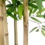 Träd Home ESPRIT Polyester Bambu 80 x 80 x 180 cm