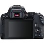 Spegelreflexkamera Canon EOS 250D + EF-S 18-55mm f/3.5-5.6 III