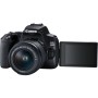 Digitale SLR Kamera Canon EOS 250D + EF-S 18-55mm f/3.5-5.6 III