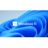 Windows 11 Pro & Office 2021 Pro Plus - 1 PC