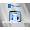 Microsoft Windows 11 Professional (download)