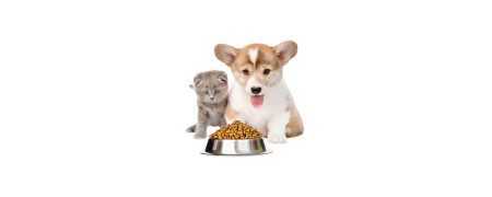 Mat för husdjur