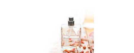 Parfym | Kosmetika